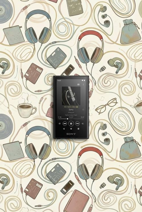 Sony NW-A306 Walkman Music Player