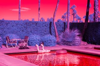 Palm Springs pool by Kate Ballis