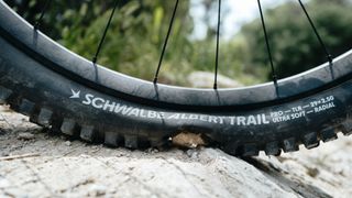 Schwalbe Albert Radial gravity tire rolling over a rock