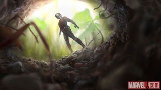 Ant-Man photo 4
