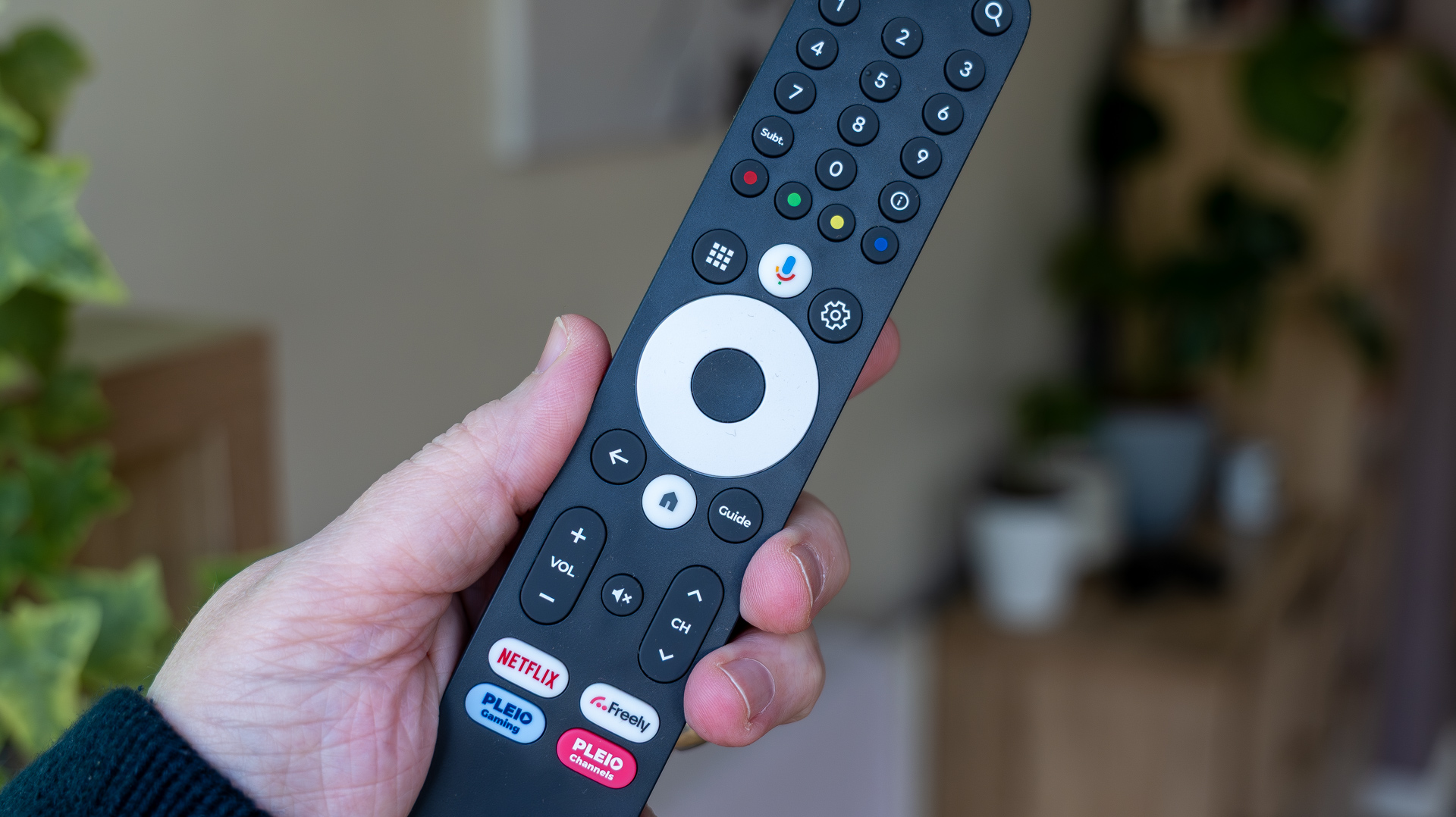 Netgem Pleio review image