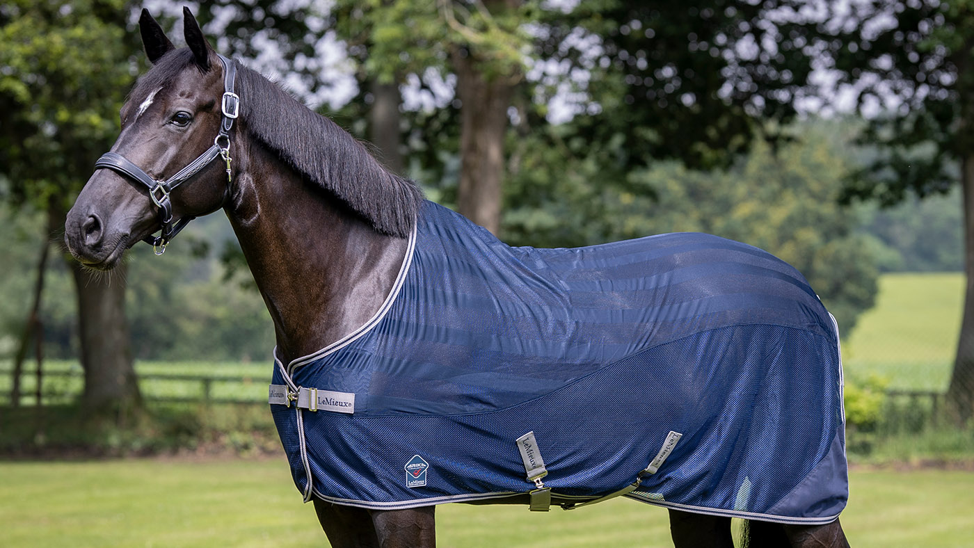 LeMieux Arika Air-Tek sheet travel rug