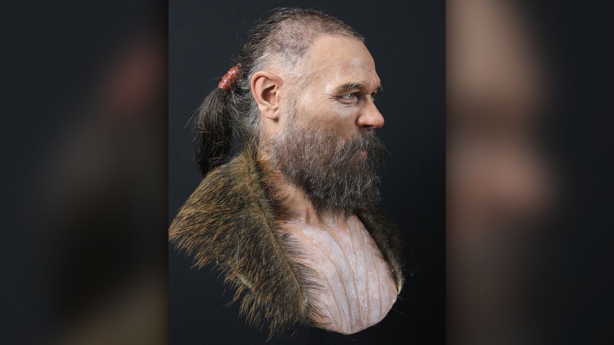 Stone Age man, whose skull was found on a spike, gets facial recreation ...