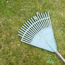 rake on a mossy lawn