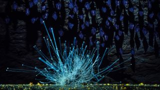 Glowing blue bioluminescent fungi spread across a cave floor, with bats hanging from the rocky ceiling
