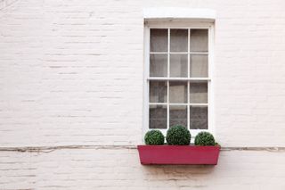 window box with topiary