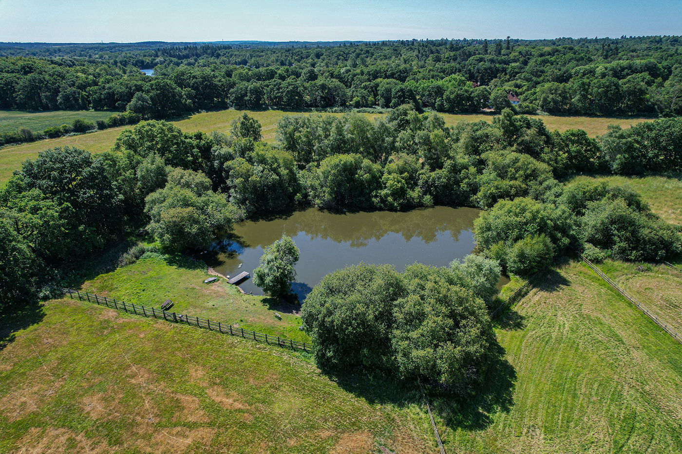 West Greylake Lake Aerial (1)