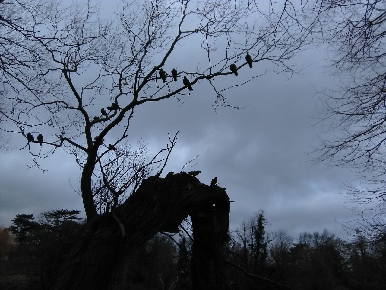 This, apparently, is the camera performance with the HDR mode engaged. No highlights are blown but the whole picture is dim.