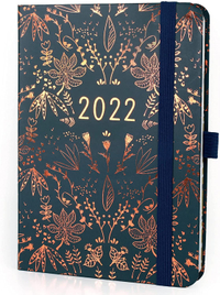 Boxclever Press Everyday Diary 2022: $14.57 | Amazon