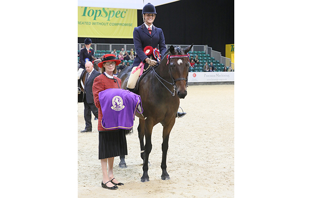 Parkgate Royal Visit William Intermediate Show Riding Type of the Year Championship 2
