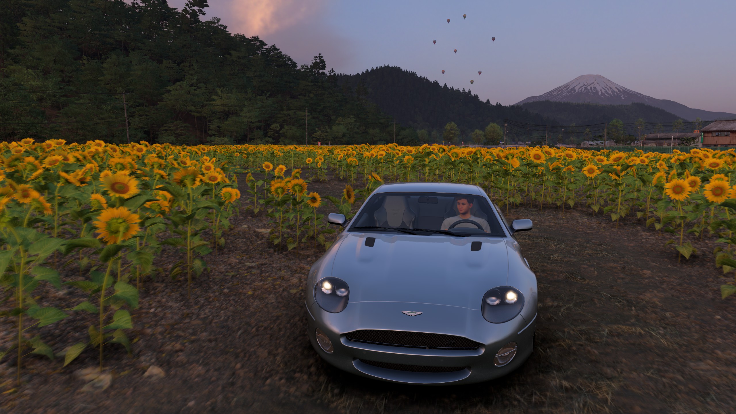 Forza Horizon 6 Hokuryu Sunflower Farm