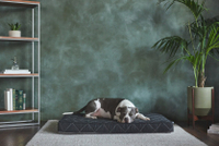 Brentwood Home Pet Beds: was $99 now from $79 @ Brentwood Home