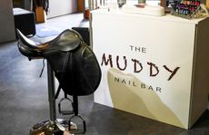 The Muddy Nail Bar Pointers Equine