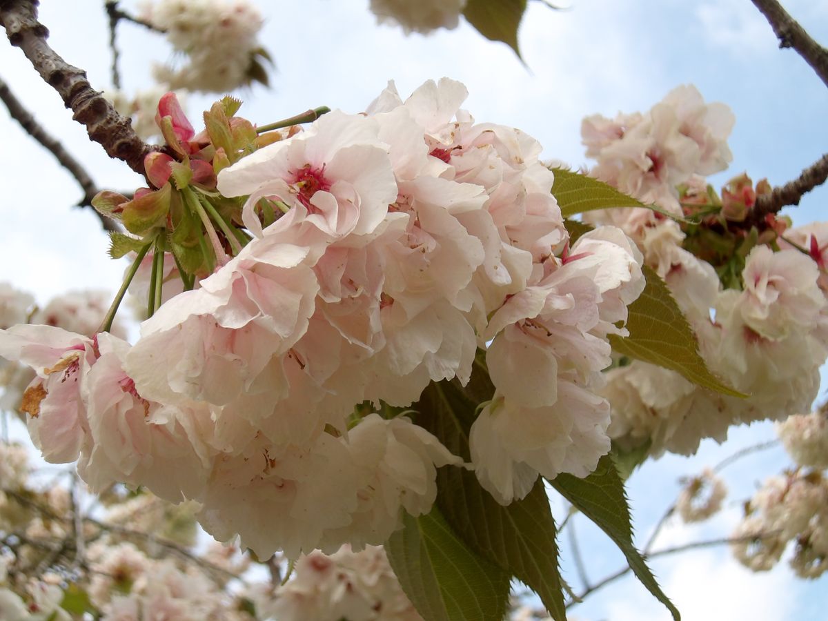 Kodak PIXPRO WPZ2 review Digital Camera World