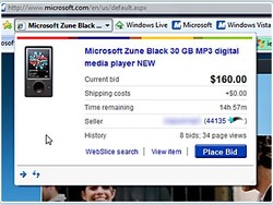 WebSlices - ebay