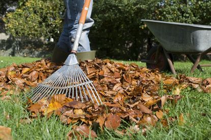 13 ways to get your garden ready for winter | Real Homes