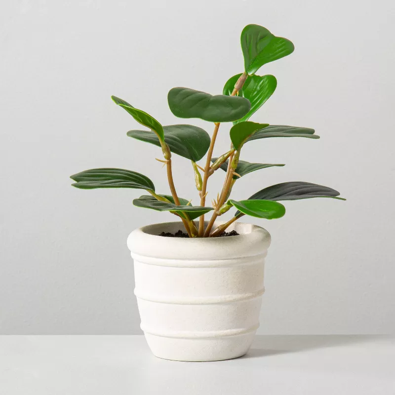 8" Mini Faux Hoya Heart Plant - Hearth & Hand™ With Magnolia