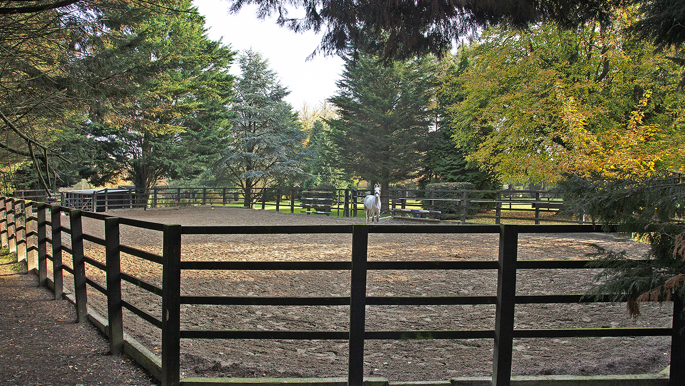 Holmer Ridings, Savills 1