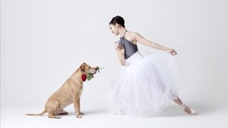 Beautiful photo series features dogs and professional dancers
