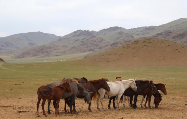 Mongolia1.jpg