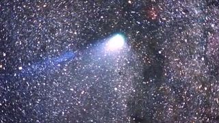 Meteors from Halley's Comet