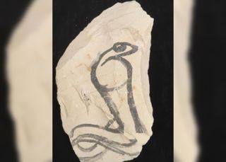 Κοιλάδα των ανακαλύψεων των Βασιλέων