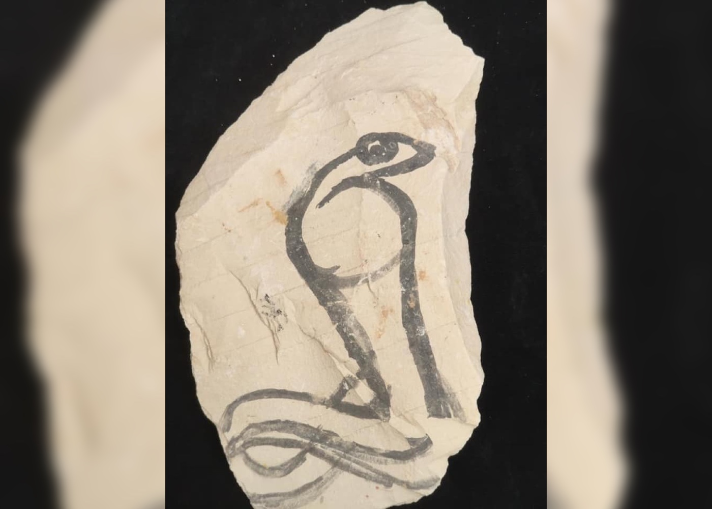 Valley of the Kings discoveries