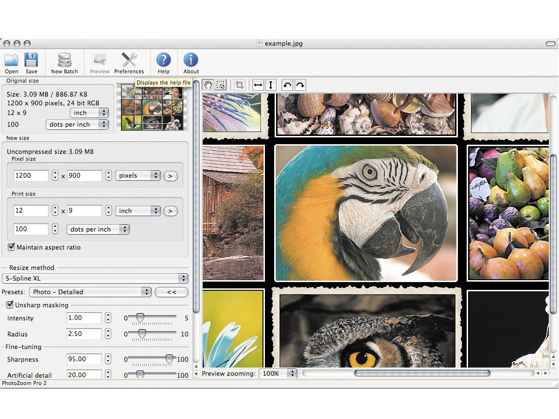 for windows download Benvista PhotoZoom Pro 8.2.0