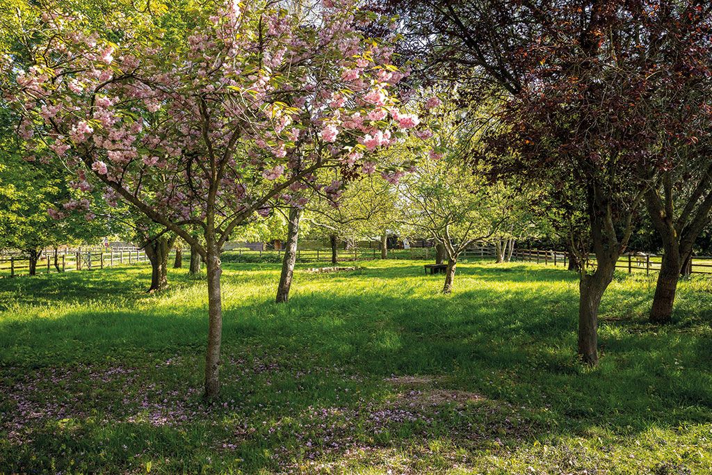 Houses for sale with orchards: Bretforton Hall, Worcestershire