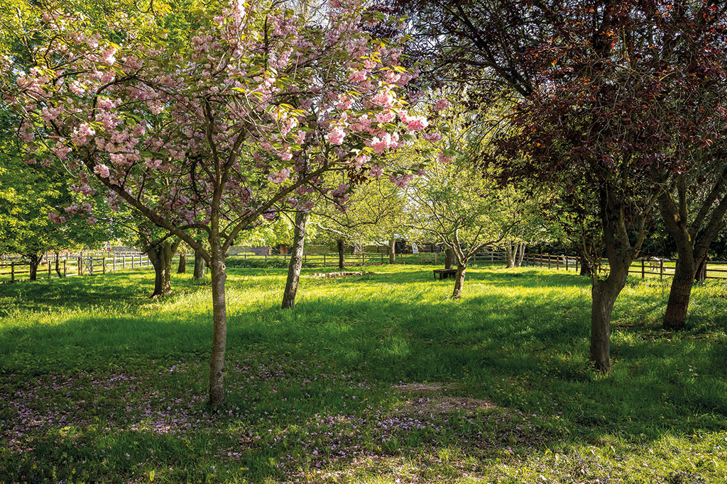 Houses for sale with orchards: Bretforton Hall, Worcestershire