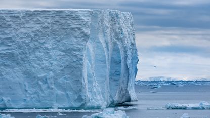 One of the world's largest icebergs calved from the Ross Ice Shelf in Antarctica.