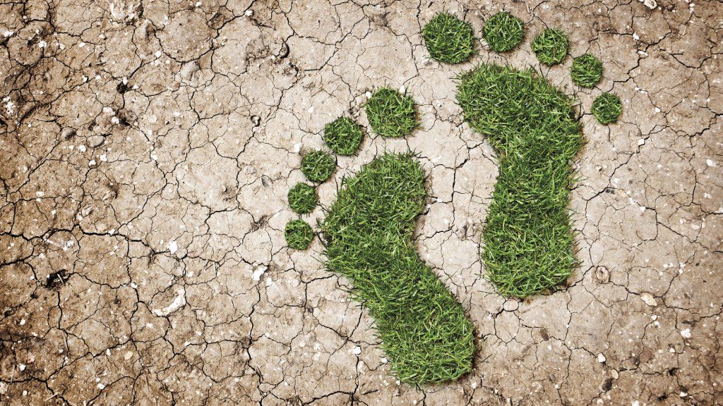 Two footprints made of grass on dry cracked dirt