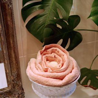 A peach coloured towel rolled up and stored in a decorative ceramic bowl. placed inbetween a mirror and a plant photrographed against a tiled brown wall