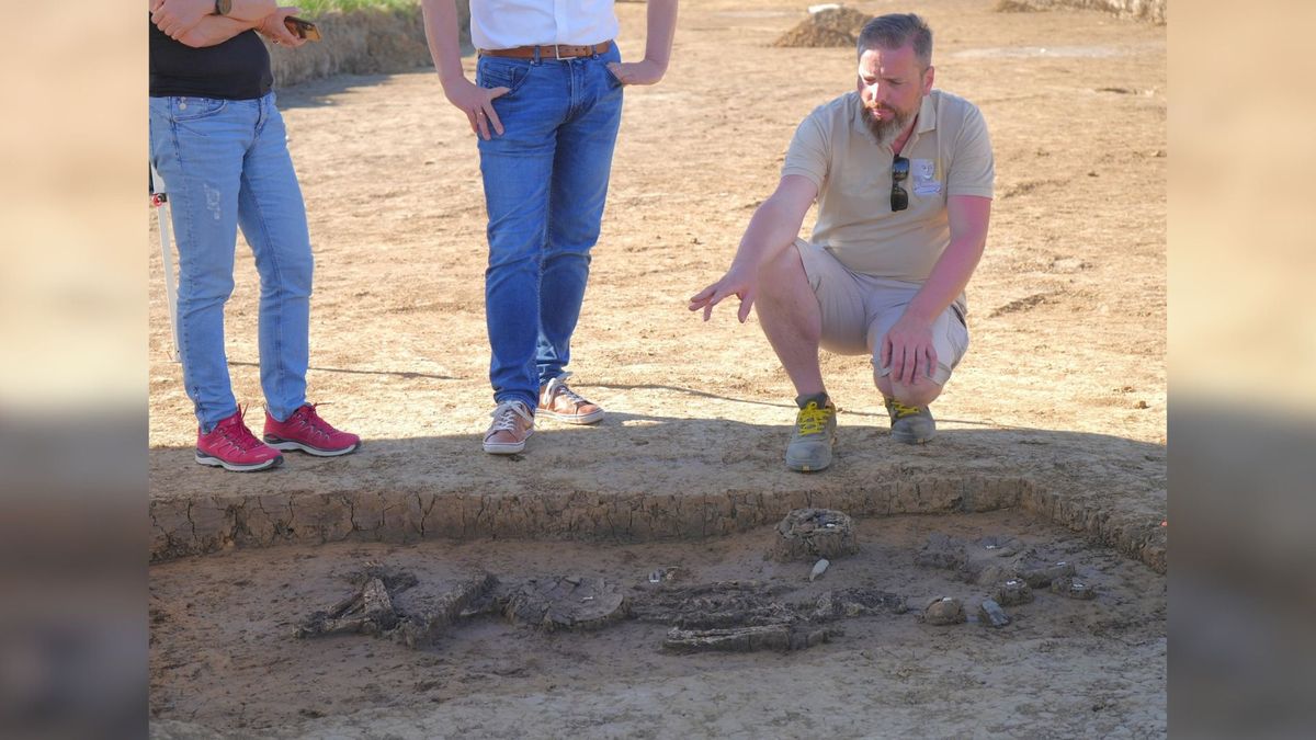 Archaeologist Florian Eibl beside the skeleton of &quot;The Mayor.&quot;