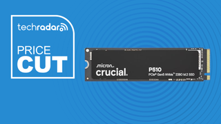 Crucial P520 SSD