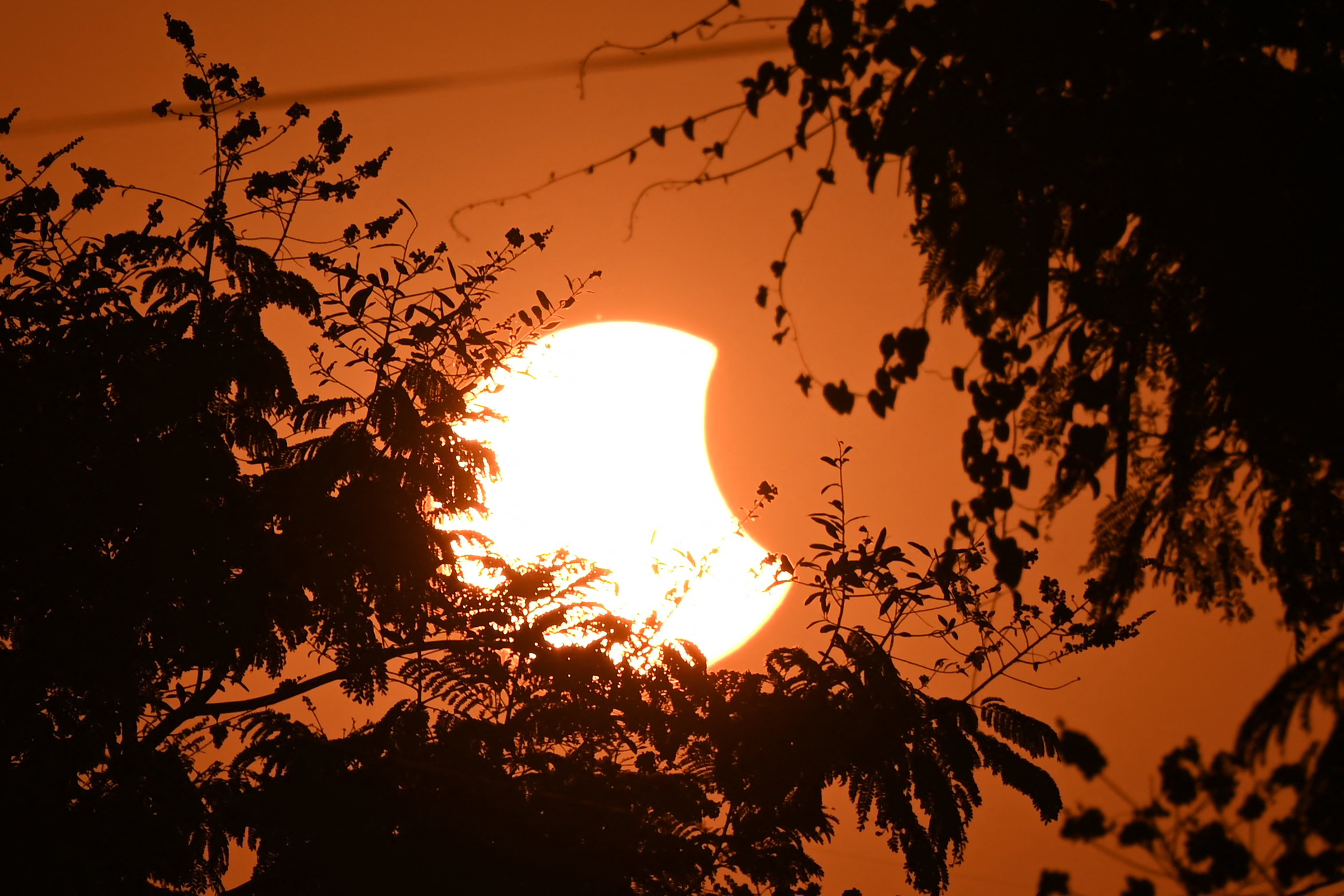 Eine partielle Sonnenfinsternis erspäht durch die Bäume mit einem orangefarbenen Himmel
