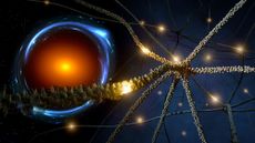 neural network