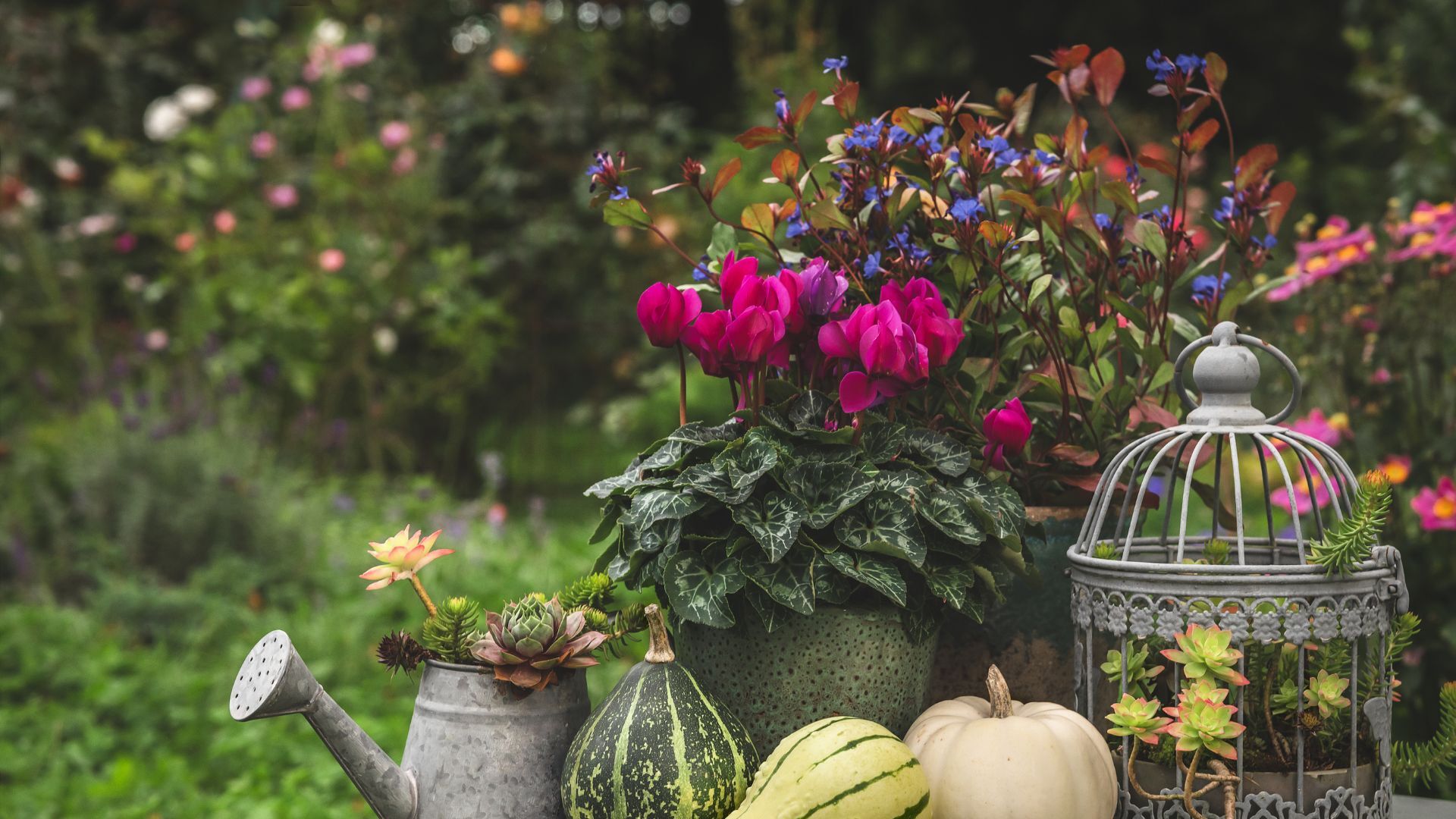 Autumn garden