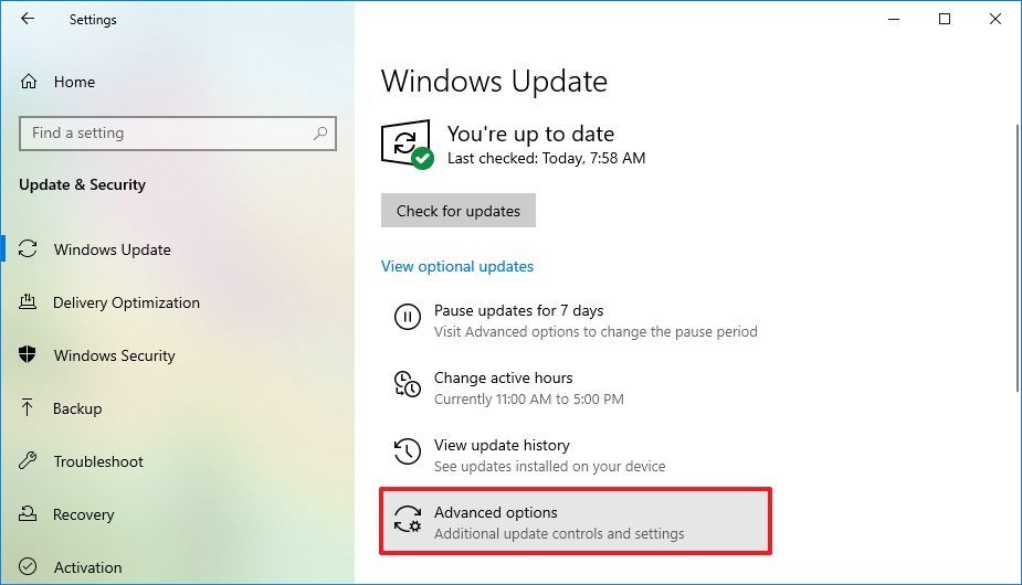 Windows Update advanced options