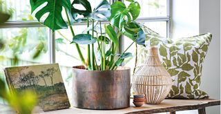 Console beside a window with a houseplant in a brass vase