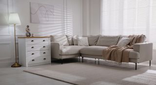 Neutral living room setting