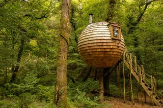 treehouse ideas: round treehouse at Lost Meadow - Canopy & Stars
