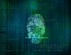 A scan of a fingerprint's papillary lines displayed in green on a dark screen