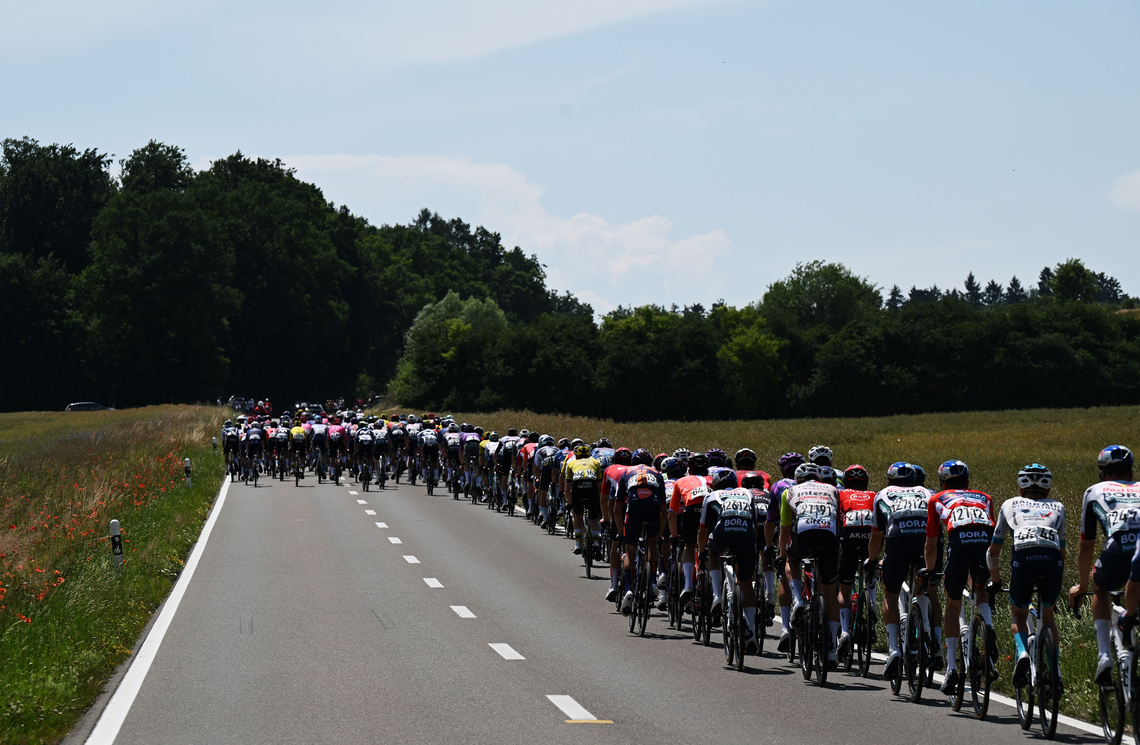 The peloton on stage 7 of the Tour de Suisse men 2025