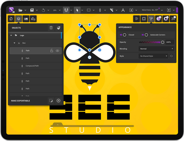 CorelDRAW App For Ipad