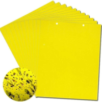 Yellow Sticky Fly Traps: £8.98 at Amazon