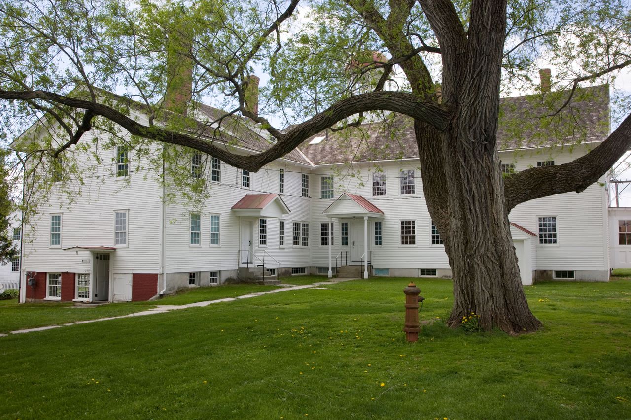 Best trees for front yards 8 picks for curb appeal Livingetc