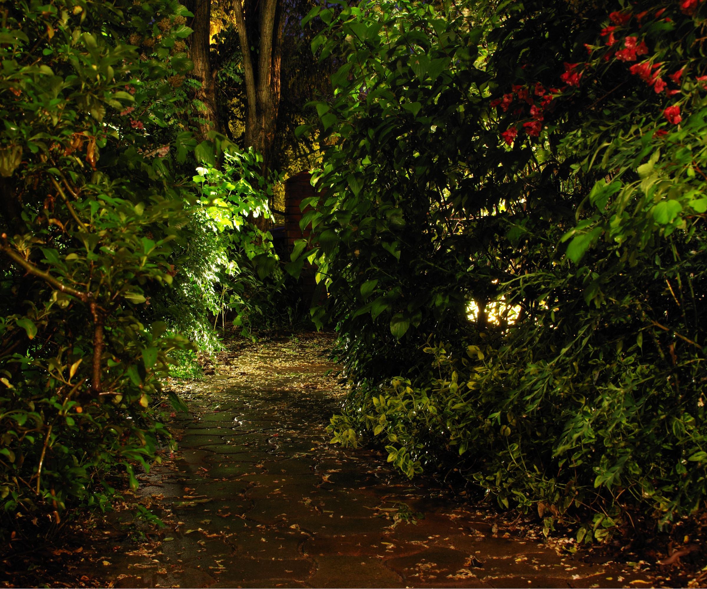 Moonlighting garden