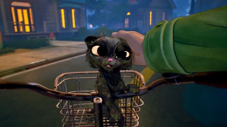 Black cat riding in front basket of bike gets pat on the head