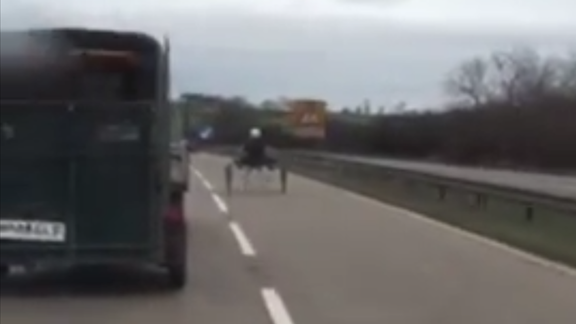 A pony and trap being driven on a dual carriageway